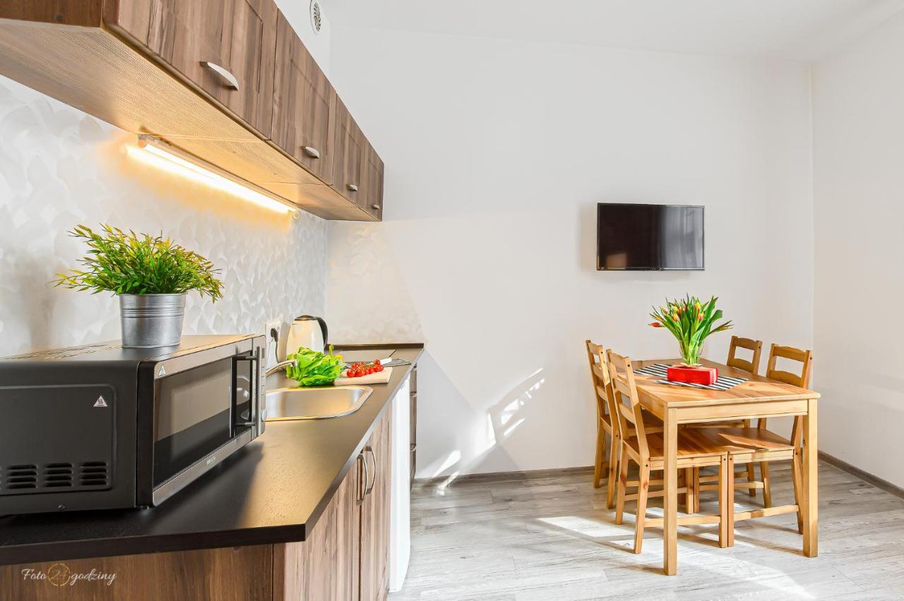 Apartment Zamulkowa 卡托维兹 外观 照片